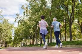 在首发情况下连续6场欧冠进球，哈兰德职业生涯第二次做到