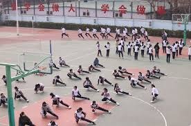 樊振东横扫奥恰洛夫封神